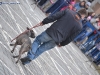 stagiu_psihologie_canina_codlea (106)