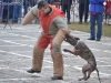 stagiu_psihologie_canina_codlea (109)