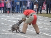 stagiu_psihologie_canina_codlea (111)