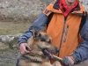 stagiu_psihologie_canina_codlea (114)