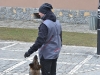 stagiu_psihologie_canina_codlea (82)