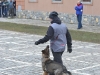 stagiu_psihologie_canina_codlea (83)