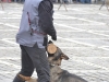 stagiu_psihologie_canina_codlea (84)