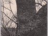 codlea-zeiden-feketehalom (14)