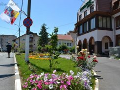 Instalarea unei noi capacități de producere a energiei electrice din surse solare cu o capacitate de minim 400 kW în MUNICIPIUL CODLEA” cod SMIS 320916