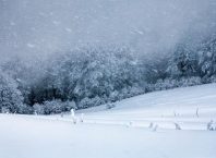 Orașele din România în care va ninge în Ajunul Crăciunului