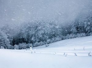 Orașele din România în care va ninge în Ajunul Crăciunului